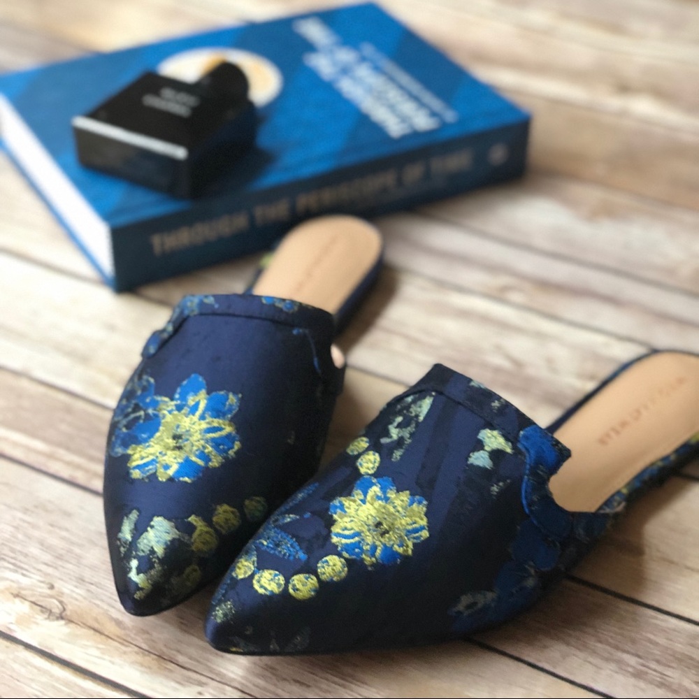 Blue Pointed Toe Slides NWOT